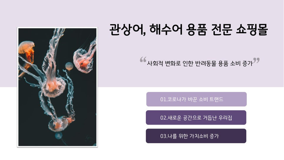 해피핀핀 — 결과보고서 이미지 4